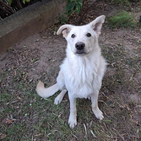 Sid... innamorarsi di lui? Foto 2