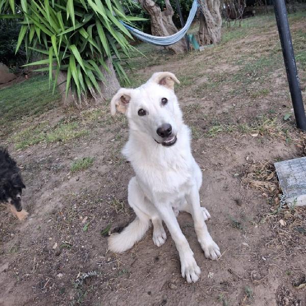 Sid... innamorarsi di lui? Foto 3