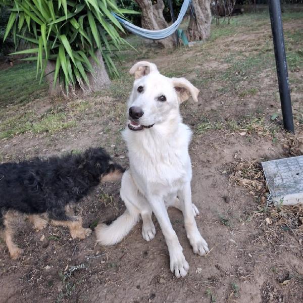 Sid... innamorarsi di lui? Foto 4