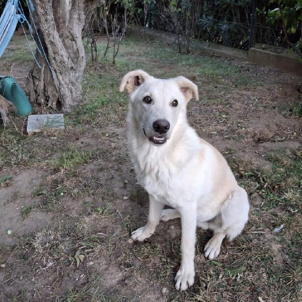 Sid... innamorarsi di lui? Foto 5