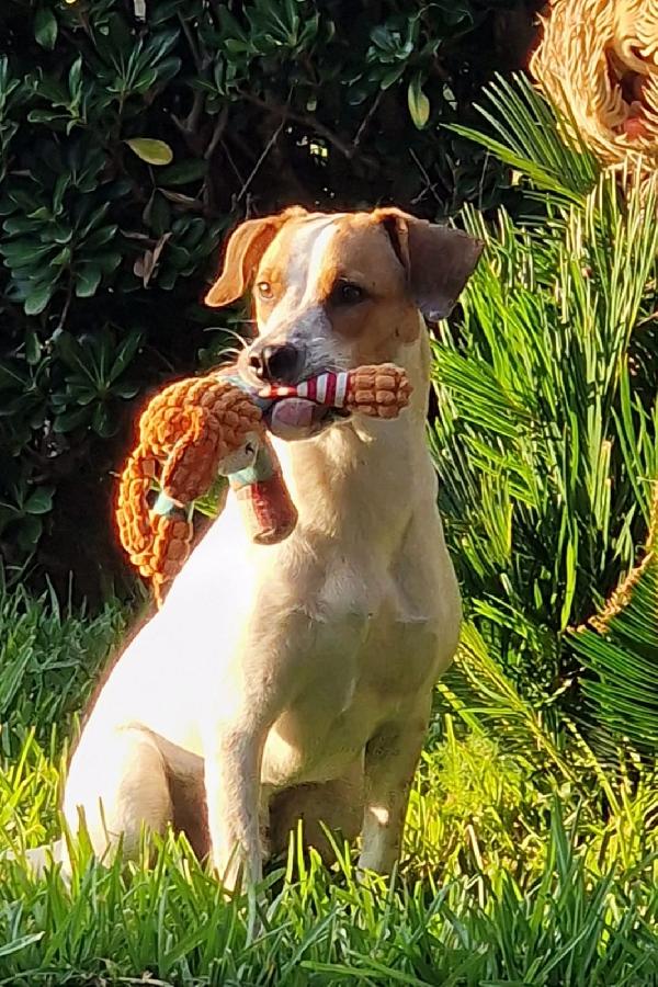 UNA MAMMA PER MIELE Foto 3
