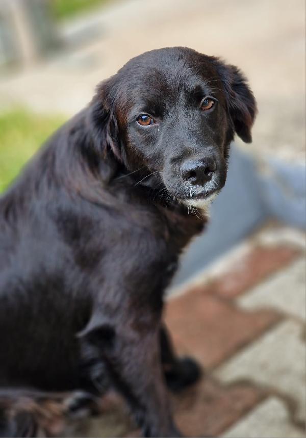 UNA MAMMA PER MARVIN Foto 3