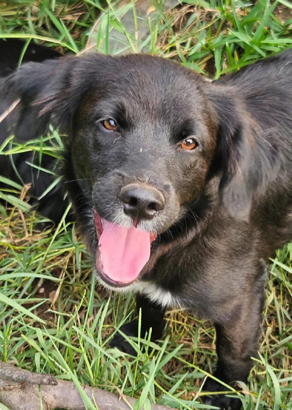 UNA MAMMA PER MARVIN Foto 4
