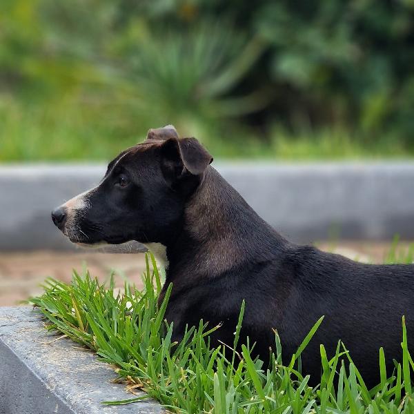 UNA MAMMA PER MAYA Foto 2