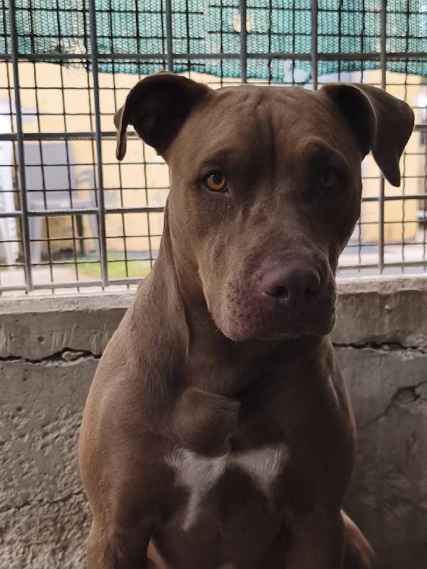Jago, Aspetta Ancora Il Suo Riscatto