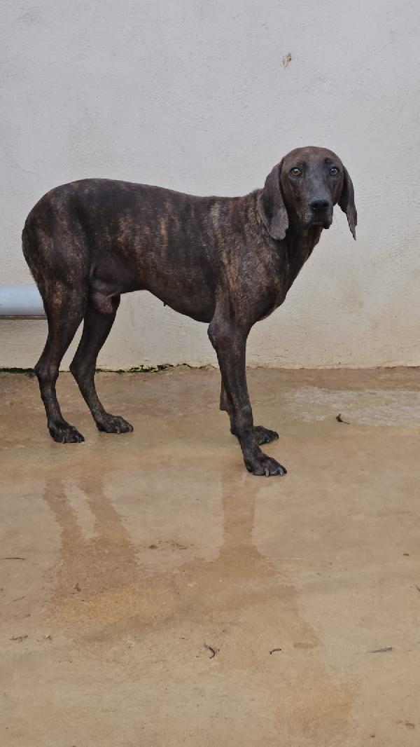 Michele: adozione del cuore  Foto 5