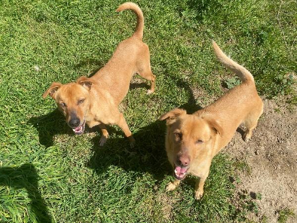 Willy&Nikita, Anche Per Le Taglie Non Esiste Pietà 