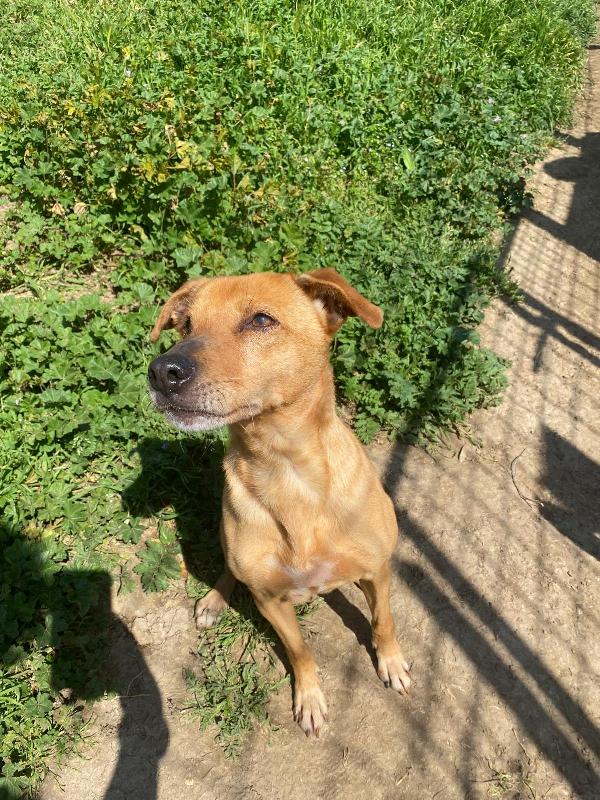 Willy&Nikita, anche per le taglie non esiste pietà  Foto 3