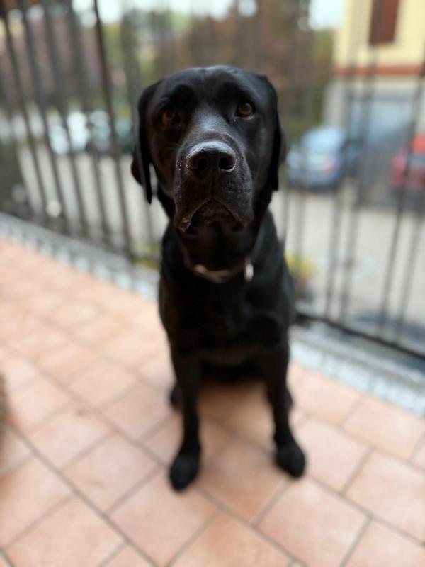 Baldo...il nostro eroe  Foto 2