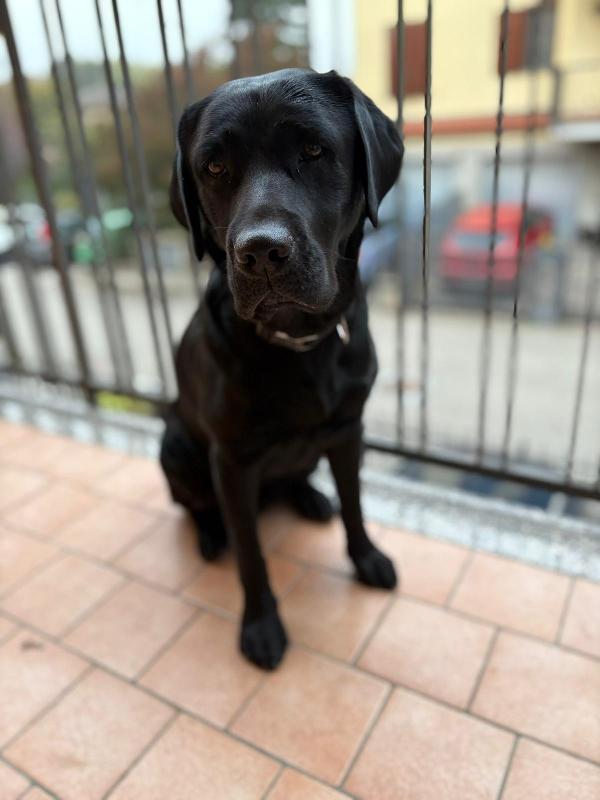 Baldo...il nostro eroe  Foto 4