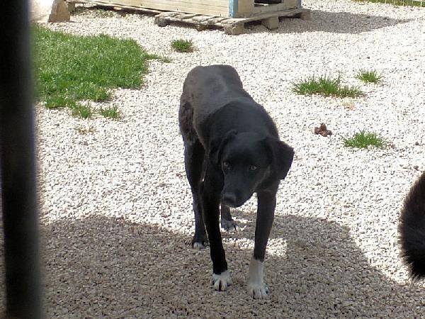 Lucky Foto 7