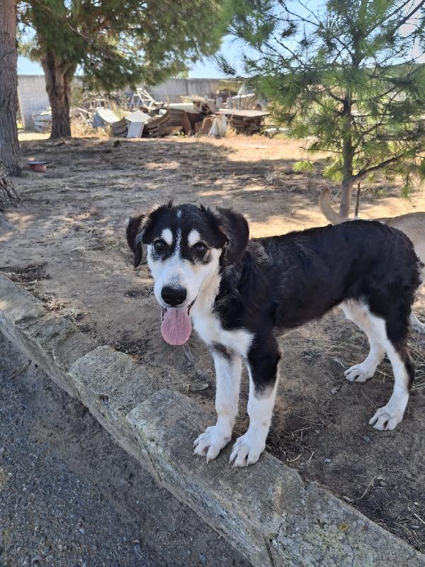 Bretzel🍬🌊🧸 Foto 2