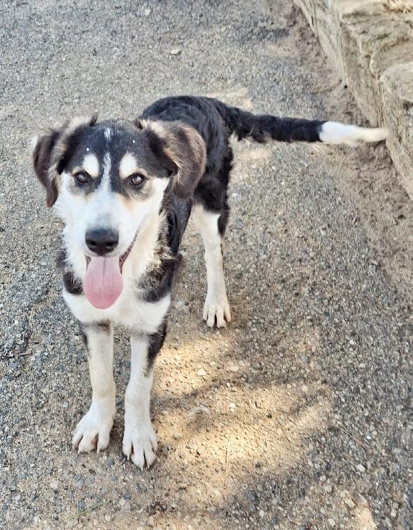 Bretzel🍬🌊🧸 Foto 3