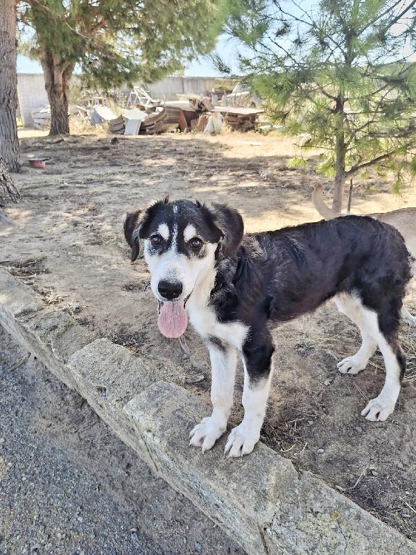 Bretzel🍬🌊🧸 Foto 4