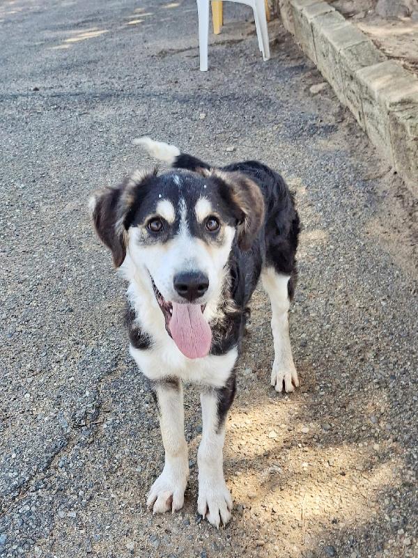 Bretzel🍬🌊🧸 Foto 5