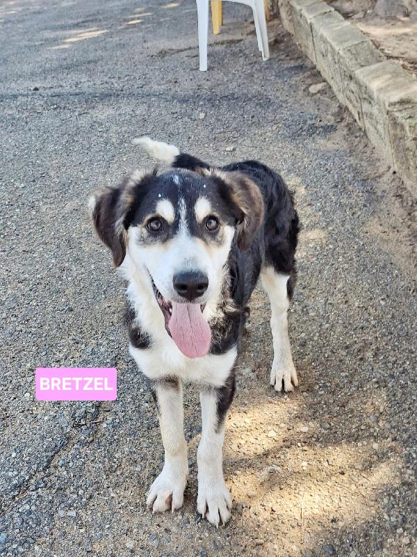 Bretzel🍬🌊🧸 Foto 6