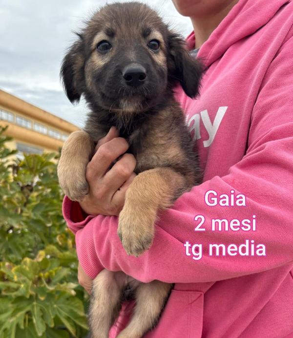 Invisibili cuccioli! Due mesi Foto 7