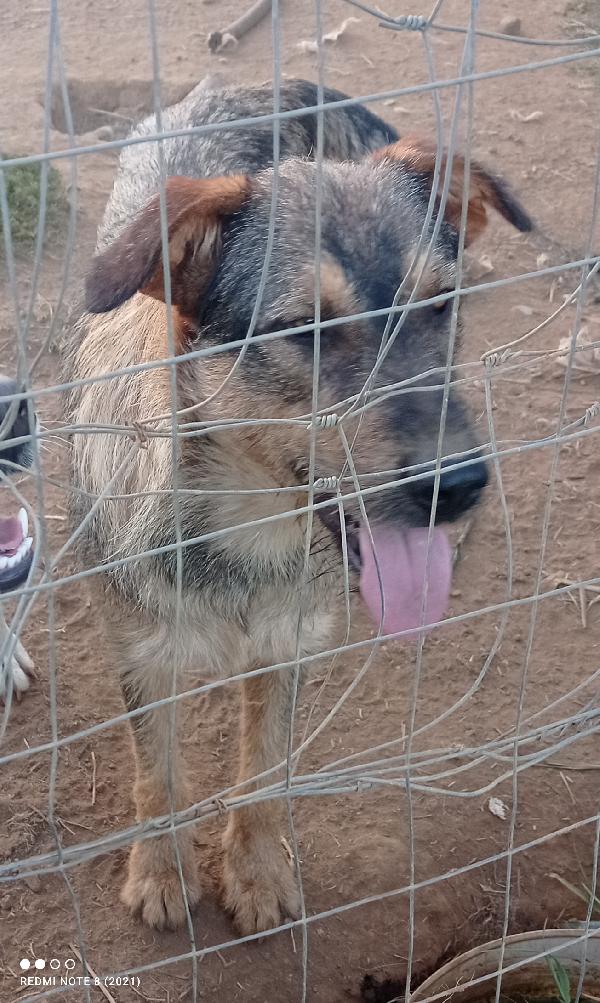 Una Speranza X Lui.🥺🥺🥺👇👇👇👇👇👇