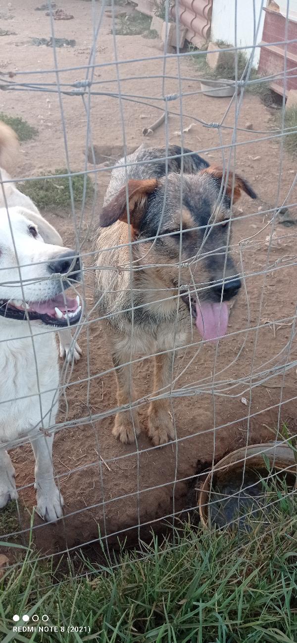 Una speranza x lui.🥺🥺🥺👇👇👇👇👇👇 Foto 3