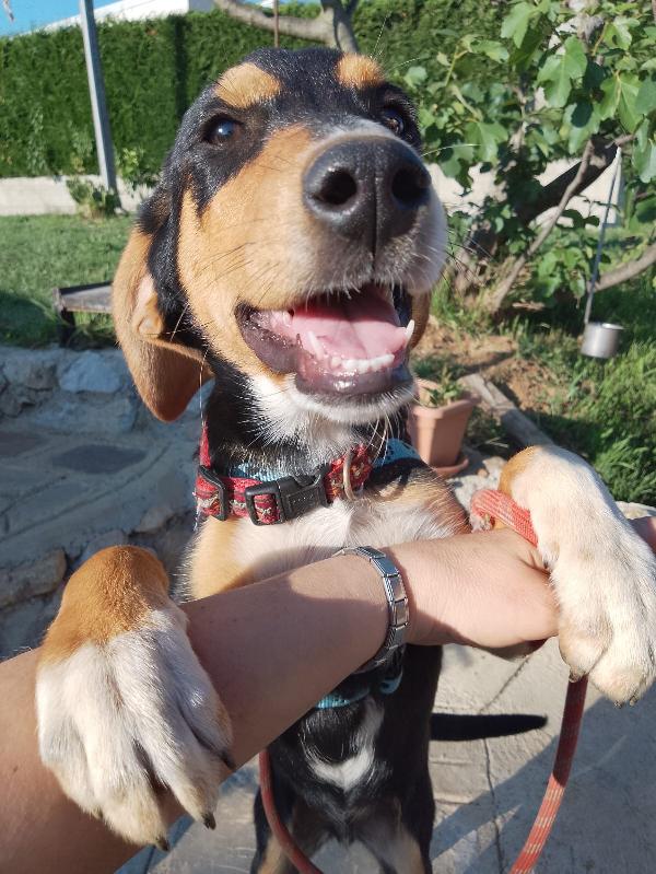Il Cucciolotto Più Dolce Del Mondo 💙💙💙💙💙