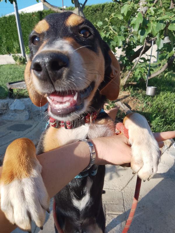 Il cucciolotto più dolce del mondo 💙💙💙💙💙 Foto 2