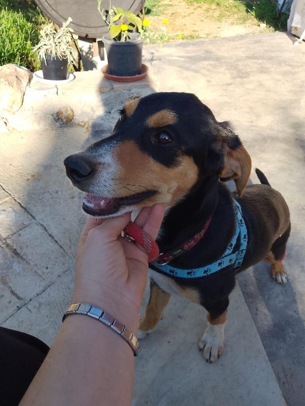 Il cucciolotto più dolce del mondo 💙💙💙💙💙 Foto 3