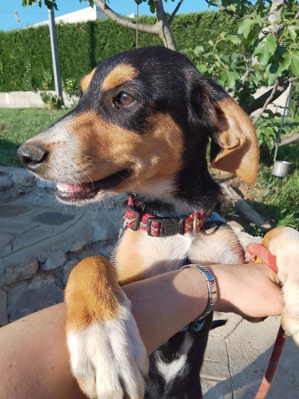 Il cucciolotto più dolce del mondo 💙💙💙💙💙 Foto 4