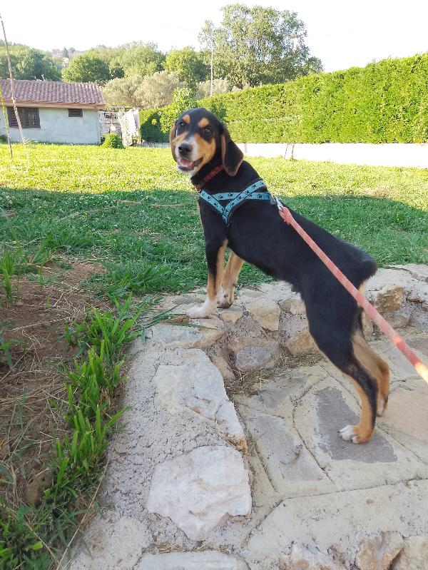 Il cucciolotto più dolce del mondo 💙💙💙💙💙 Foto 5