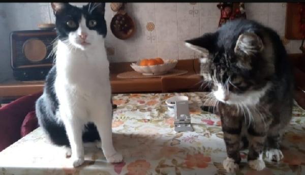 2Mici Anzianetti Rimasti Soli Pavia