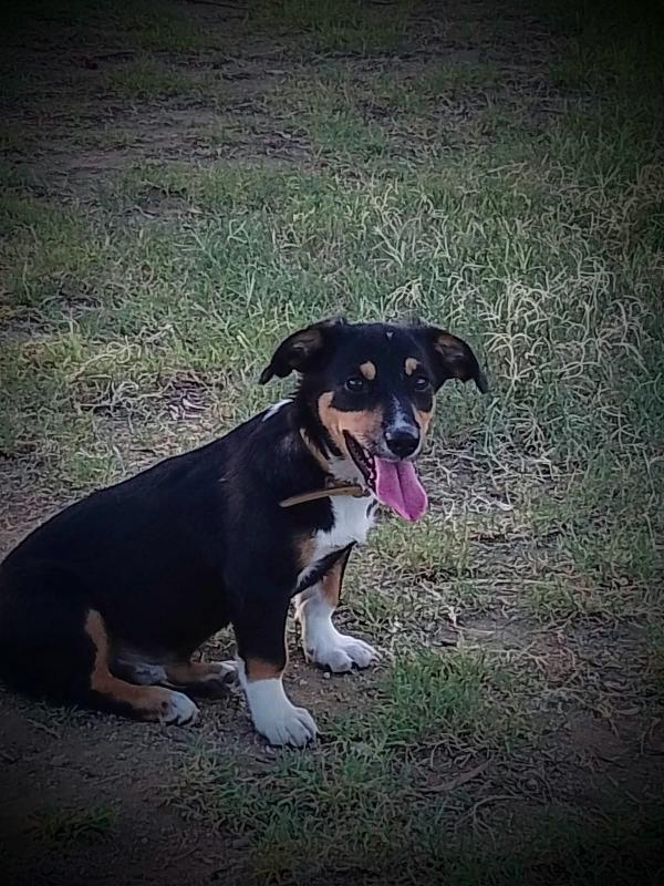 Oscar...amarlo È Facile 