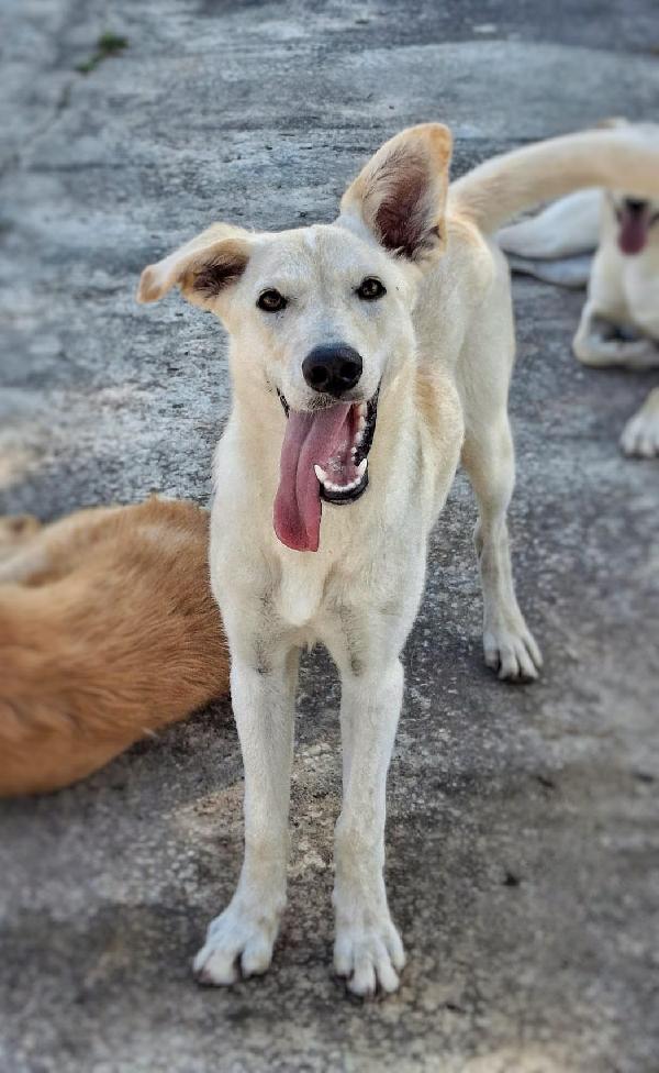 Eris 🌹🐾🌹 Foto 5