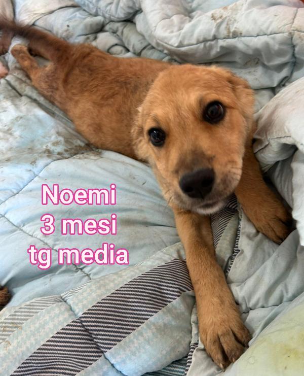 2 Mesi: Stupendi Cuccioli 