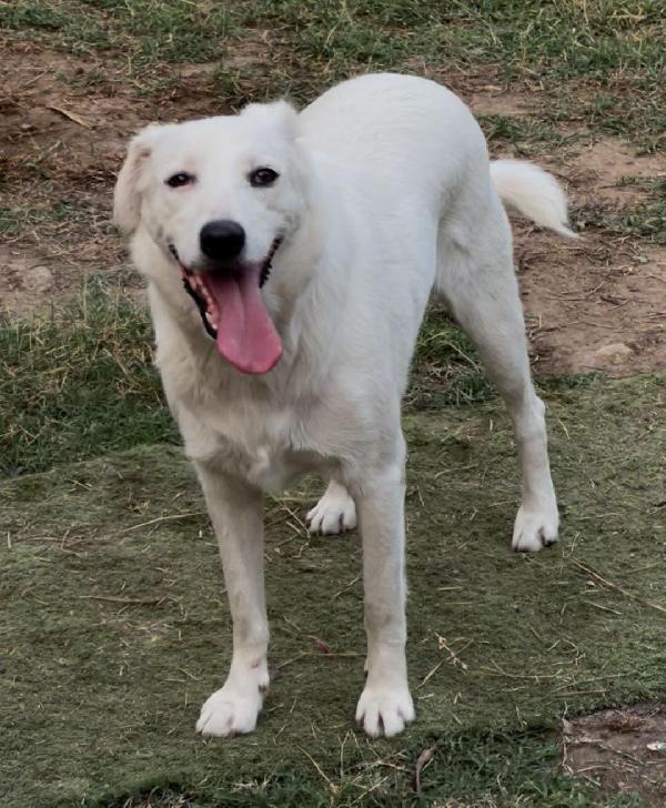 Wilma♥️diamole il calore di una casa Foto 3