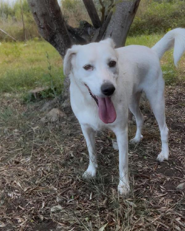 Wilma♥️diamole il calore di una casa Foto 6