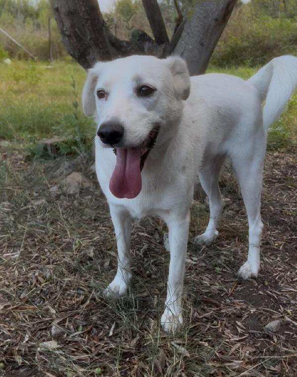 Wilma💘🐾 Foto 2