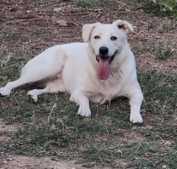 Wilma💘🐾 Foto 3