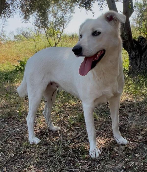 Wilma💘🐾 Foto 6