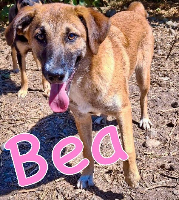Bea😘❤️🐕