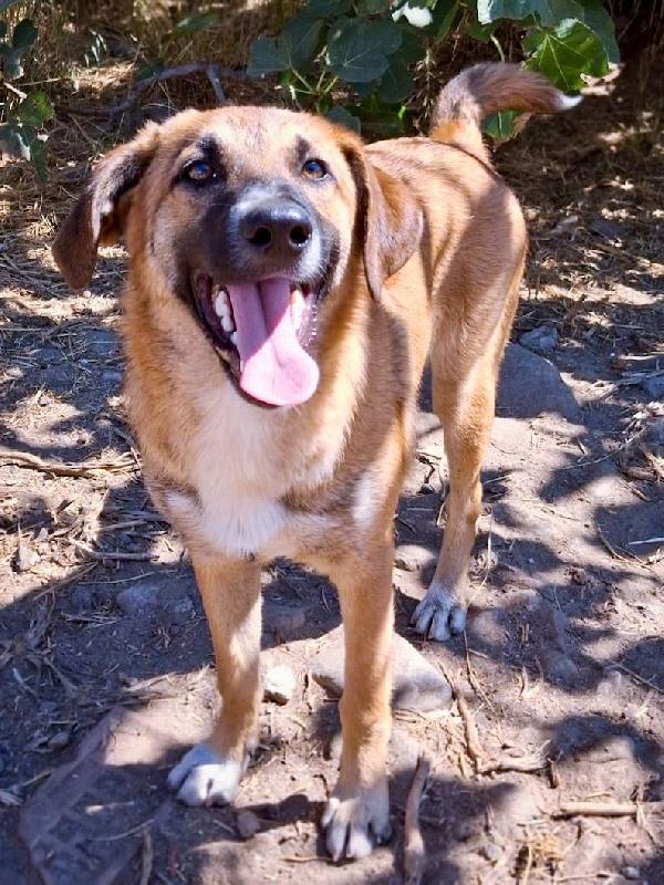 Bea😘❤️🐕 Foto 2