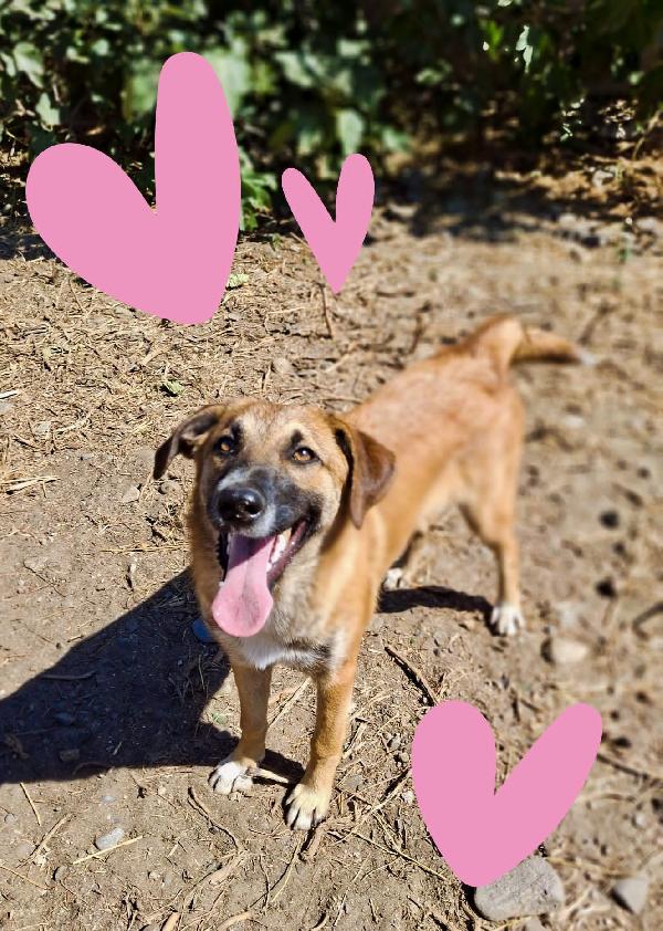 Bea😘❤️🐕 Foto 3