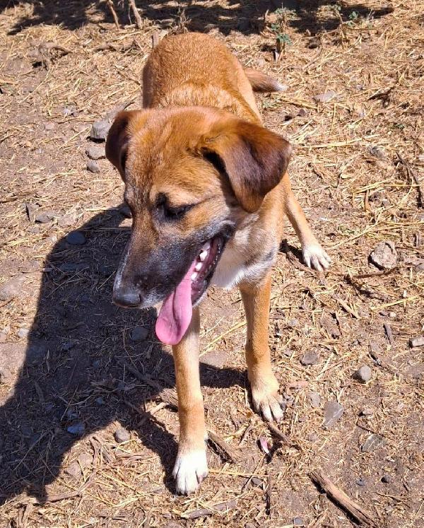 Bea😘❤️🐕 Foto 4