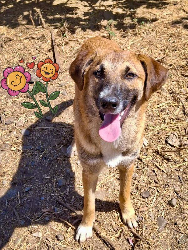 Bea😘❤️🐕 Foto 5