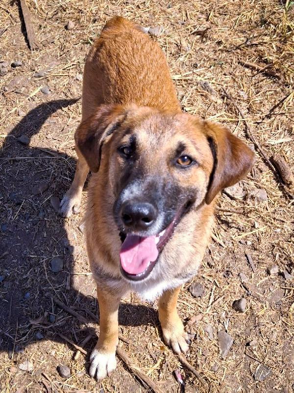 Bea😘❤️🐕 Foto 6