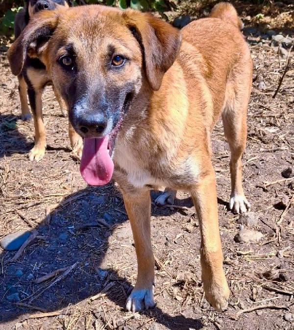 Bea😘❤️🐕 Foto 7