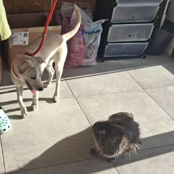 July...che dolcezza gli occhi tuoi Foto 2