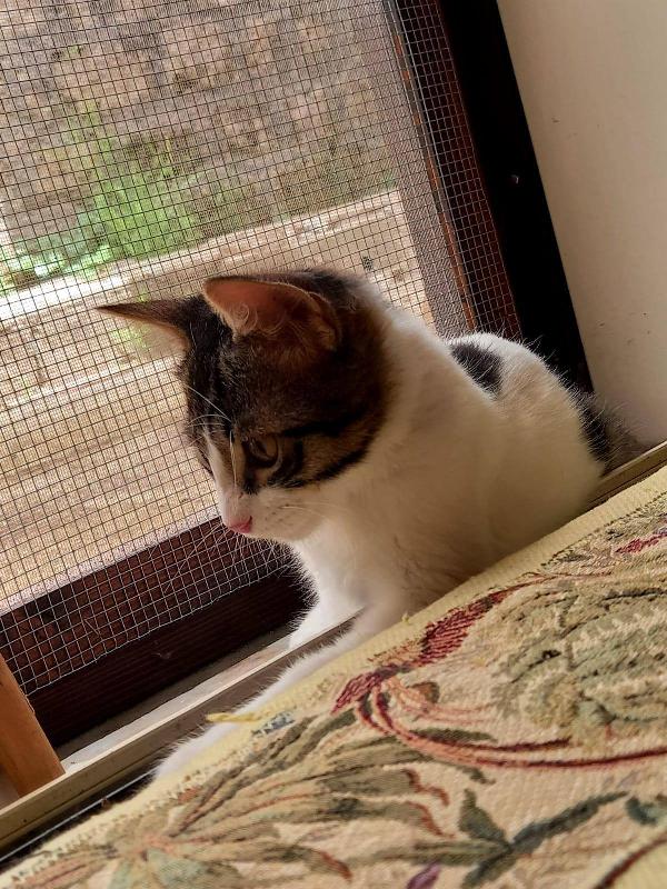 Hermes e Ares Foto 3