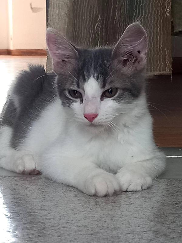 Hermes e Ares Foto 4