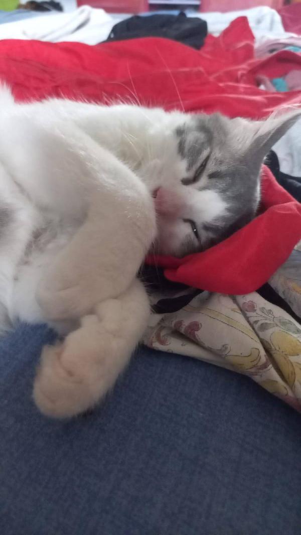 Hermes e Ares Foto 5