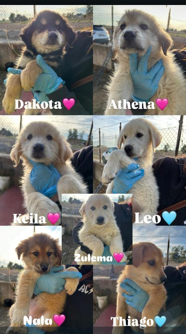 Athena☺️🌹❤️ Foto 4