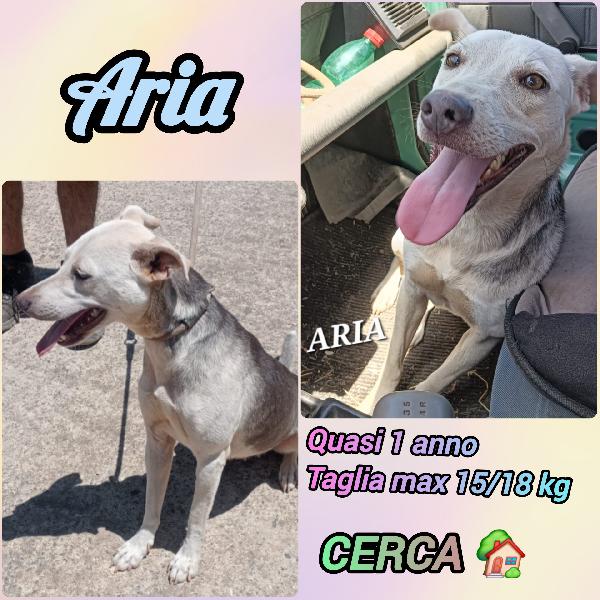 Una Mamma Per Aria